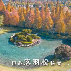 【2025全台落羽松】彰化落羽松景點-彰化成美文化園