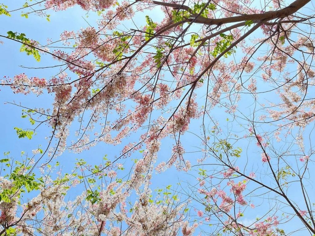 【屏東三天兩夜推薦】潮州河濱公園