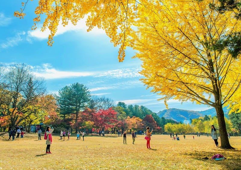 【仁愛鄉景點】仁愛鄉一日遊路線2_奧萬大森林遊樂區