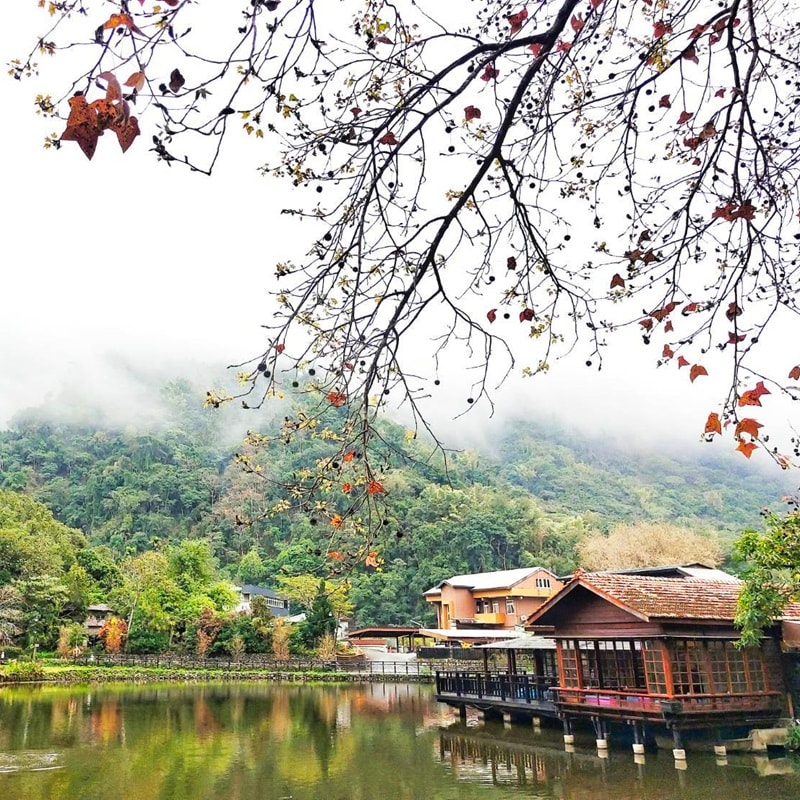 南投景點 好玩景點 林班道