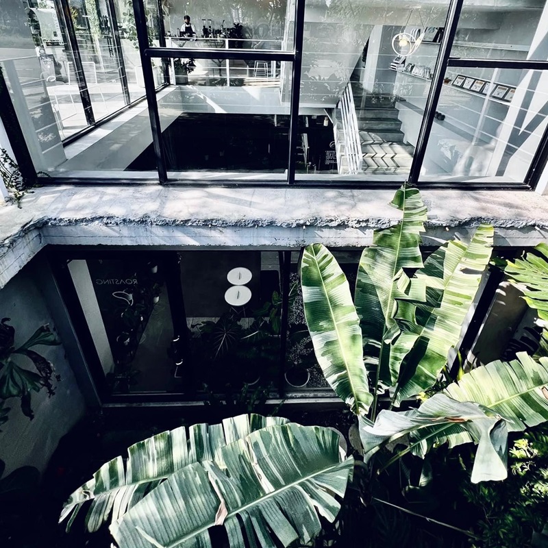 彰化景點 彰化IG網美景點 有片森林 植一座咖啡館
