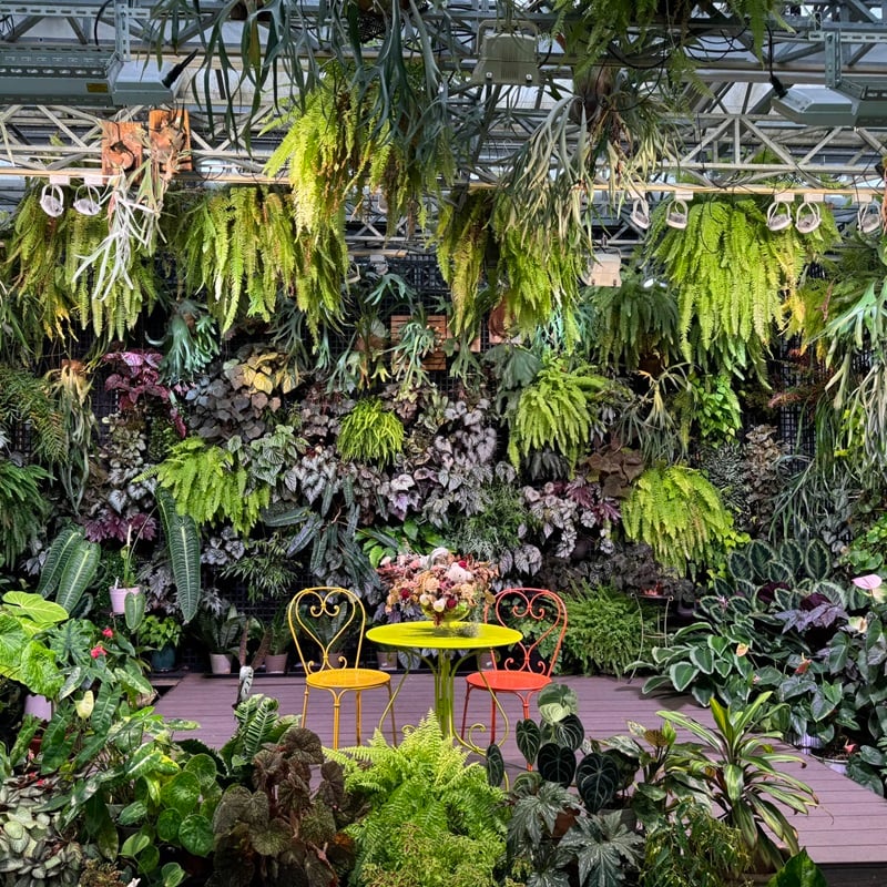彰化景點 彰化室內景點 菁芳園TenwayGarden
