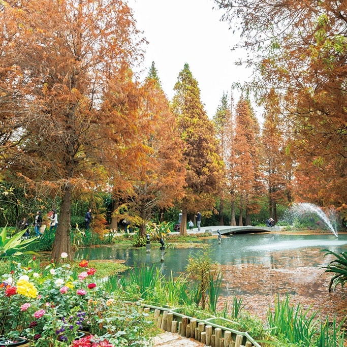 彰化景點 彰化戶外景點 田尾公路花園
