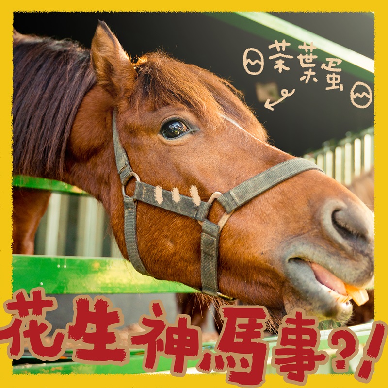 彰化景點 彰化親子景點 好甜森林