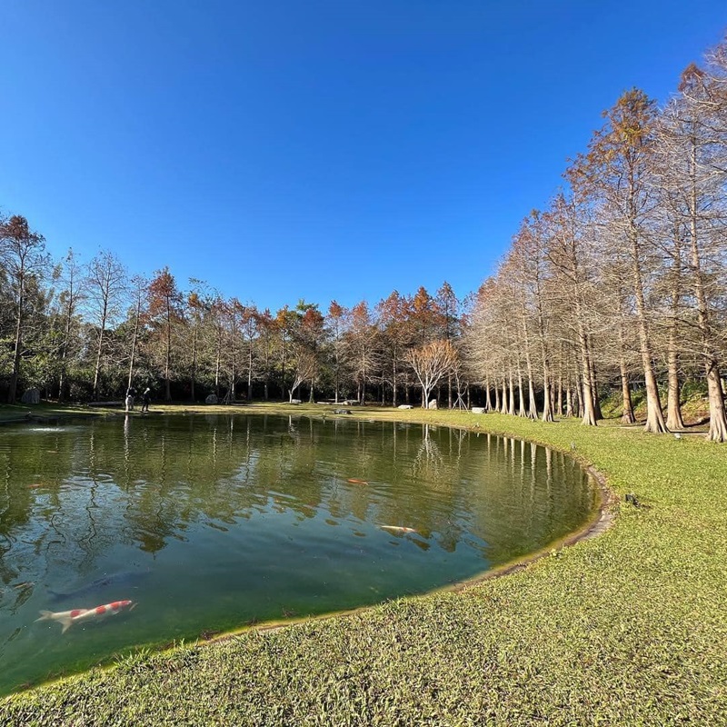 新竹景點 新竹戶外景點 大樂之野景觀餐廳