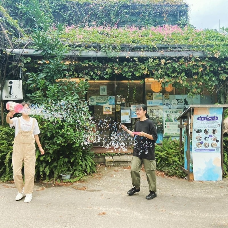 新竹景點 新竹熱門景點 十二寮時光村