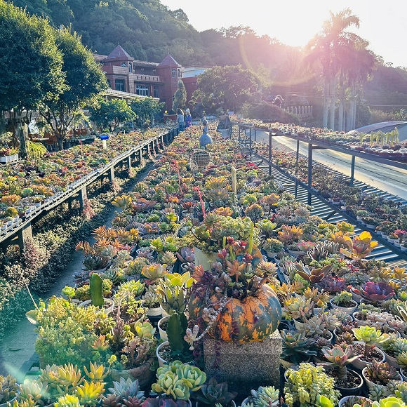 繞山花－三和青創基地