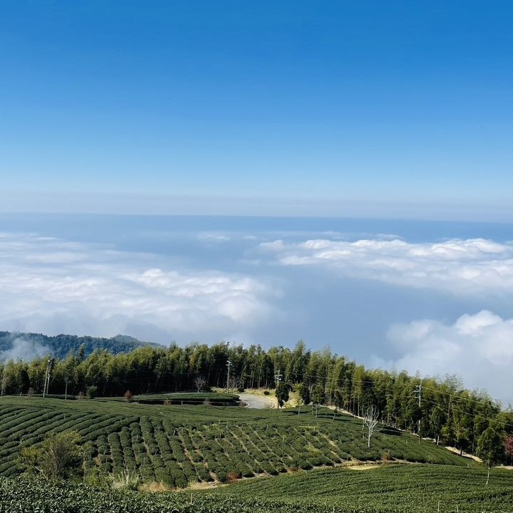 雲林景點 雲林戶外景點 雲嶺之丘